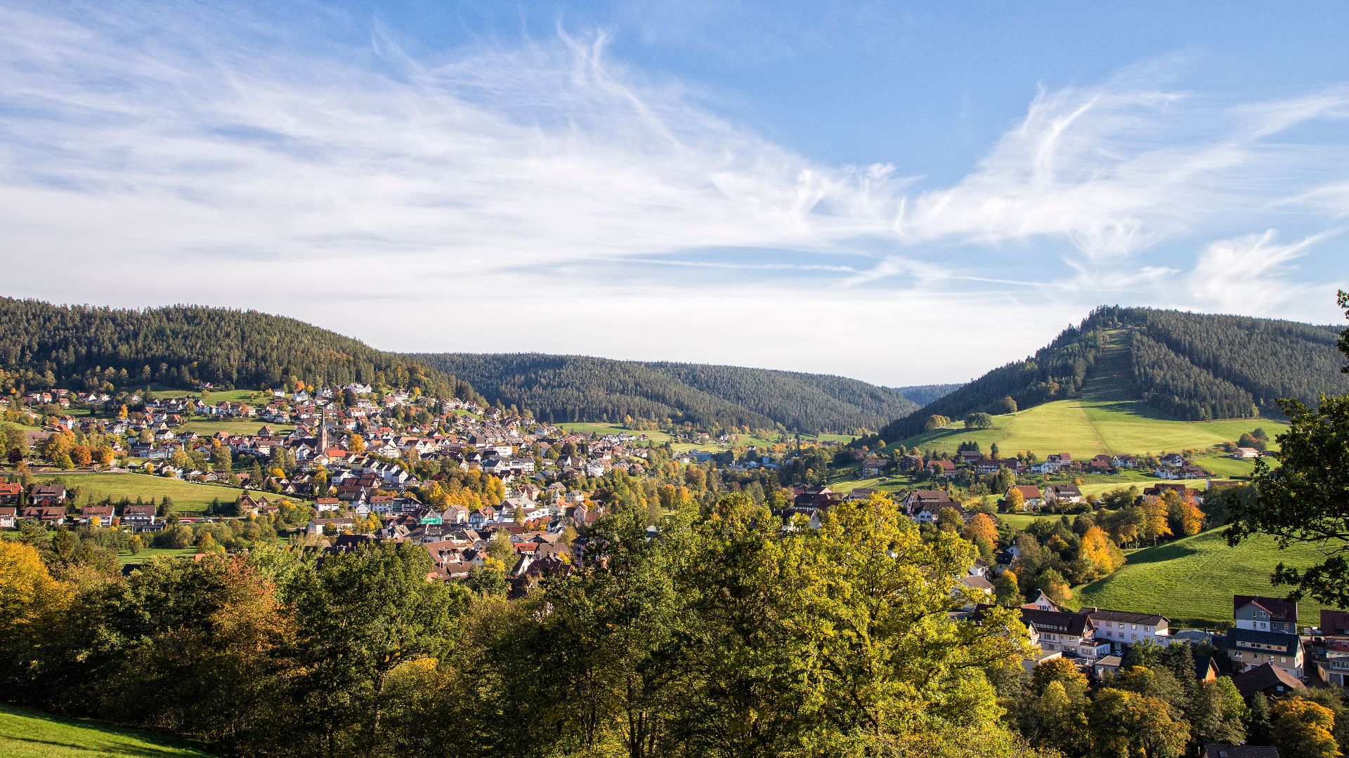 Platzhalter